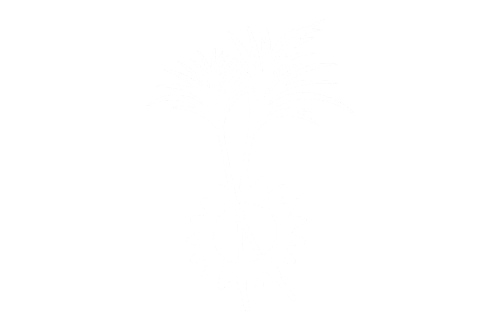 Hawaiian Philippine Corp.
